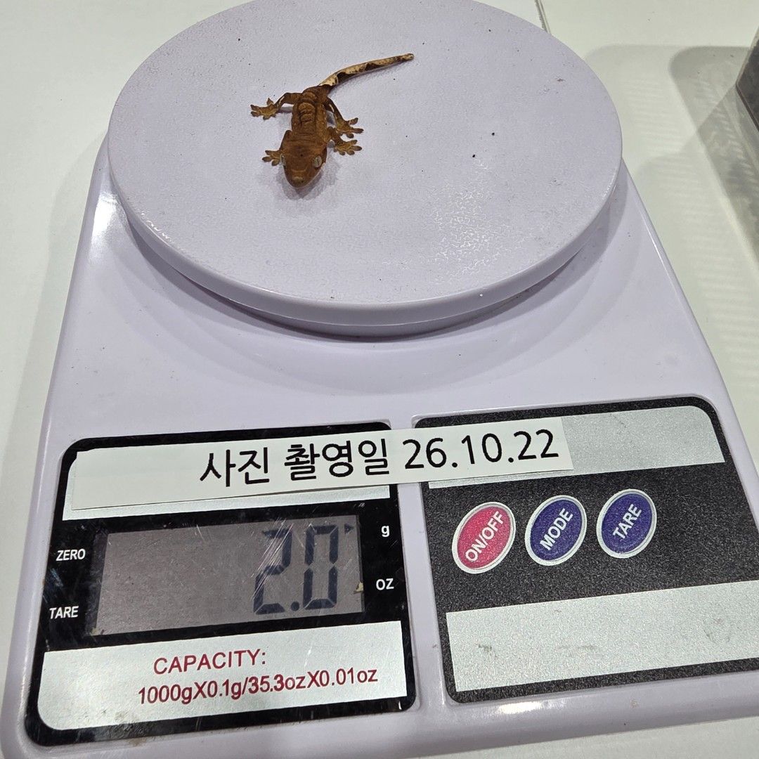 KakaoTalk_20261022_185547038_14.jpg