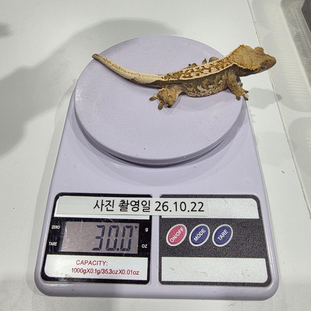 KakaoTalk_20261023_013754109_08.jpg