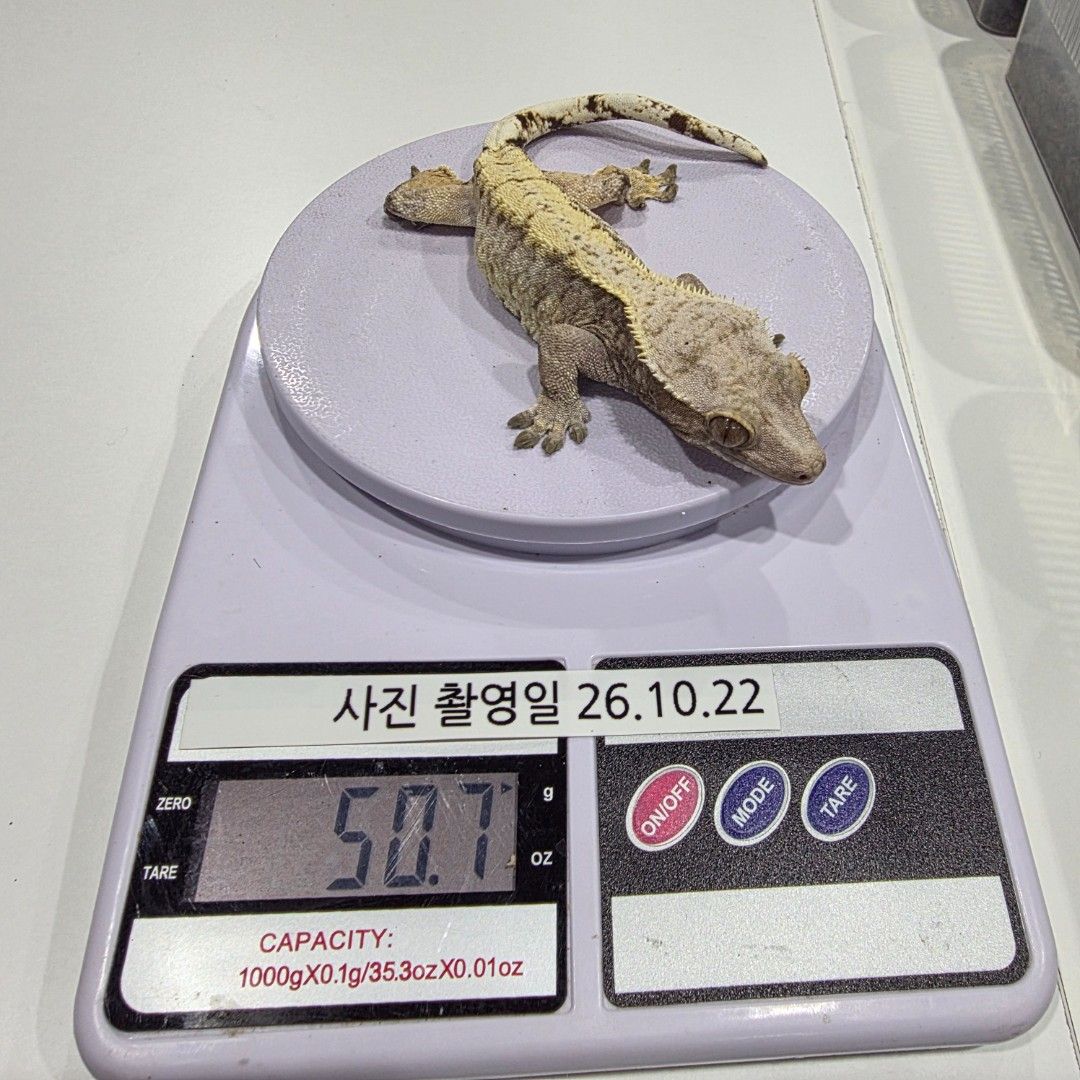 KakaoTalk_20261023_003023854_15.jpg