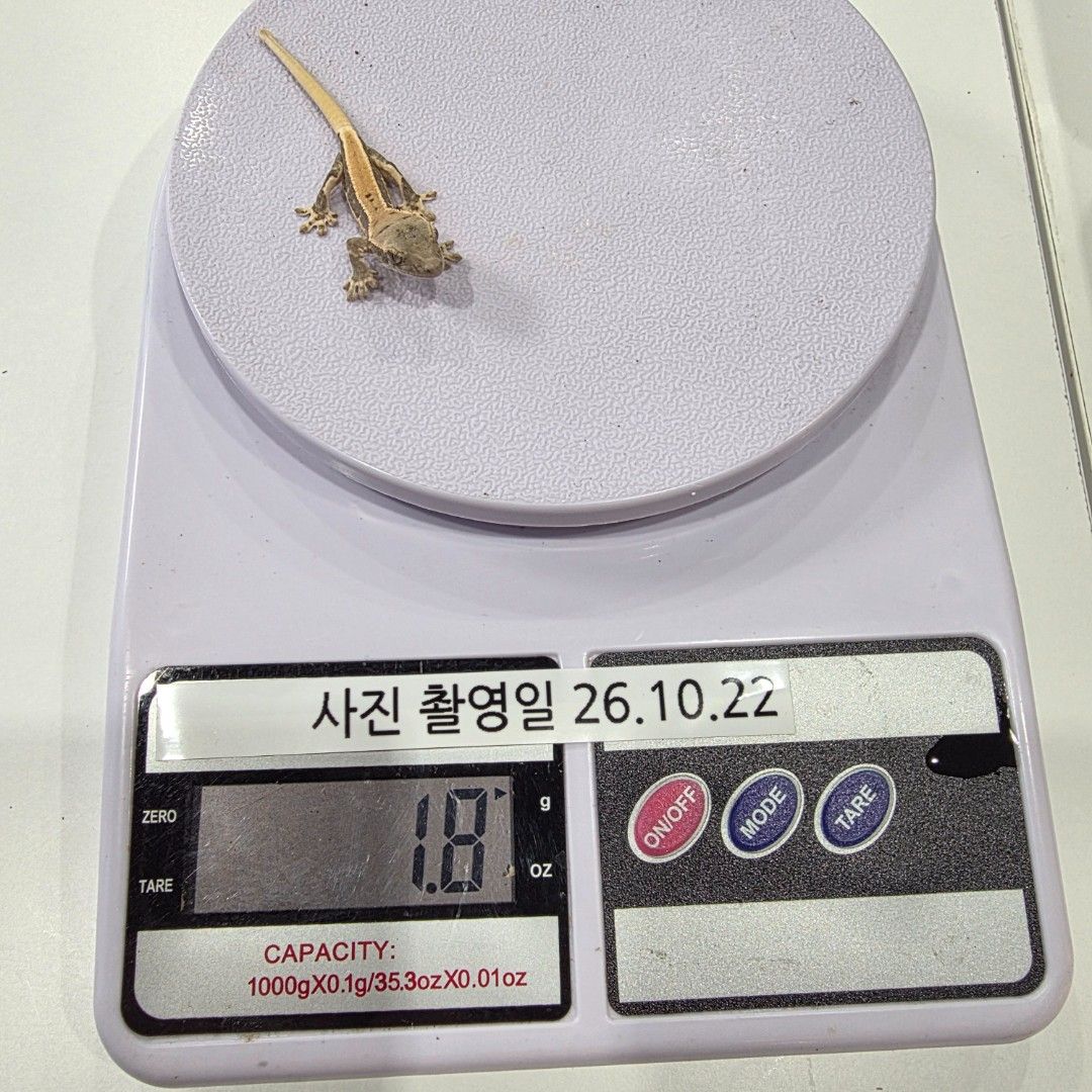 KakaoTalk_20261022_173704581_01.jpg