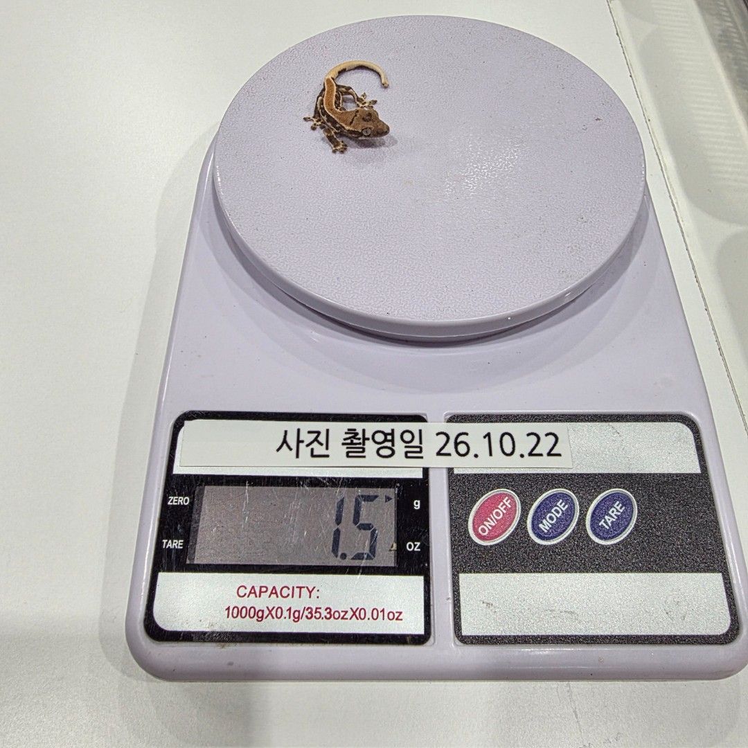 KakaoTalk_20261022_204119613_09.jpg