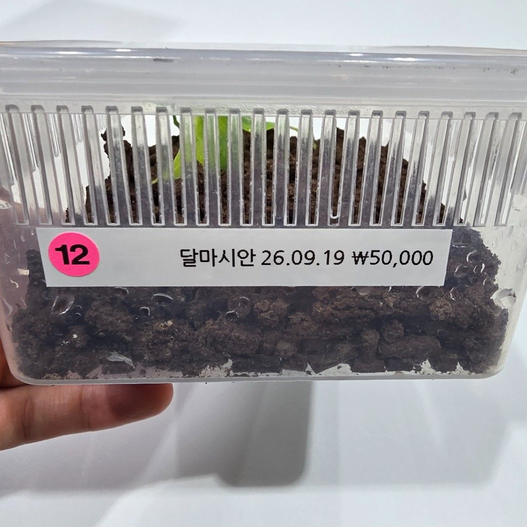 KakaoTalk_20261022_185553798_08.jpg