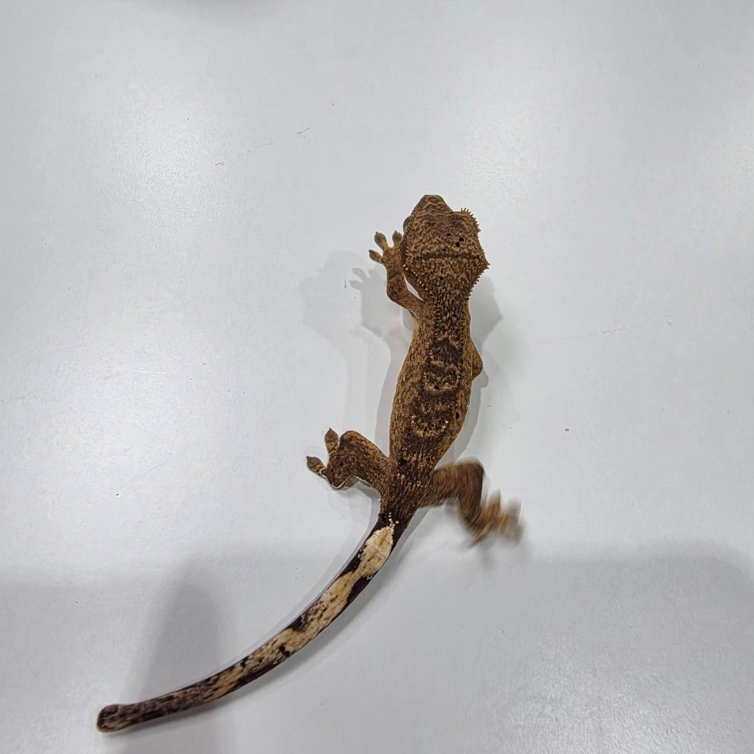 KakaoTalk_20261022_185535074_13.jpg