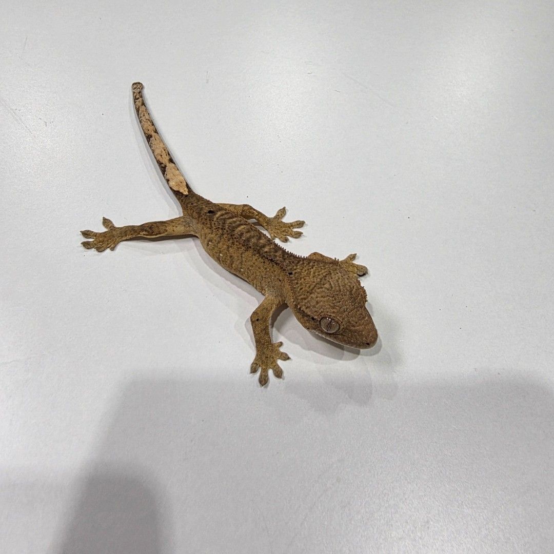 KakaoTalk_20261022_185521199_13.jpg