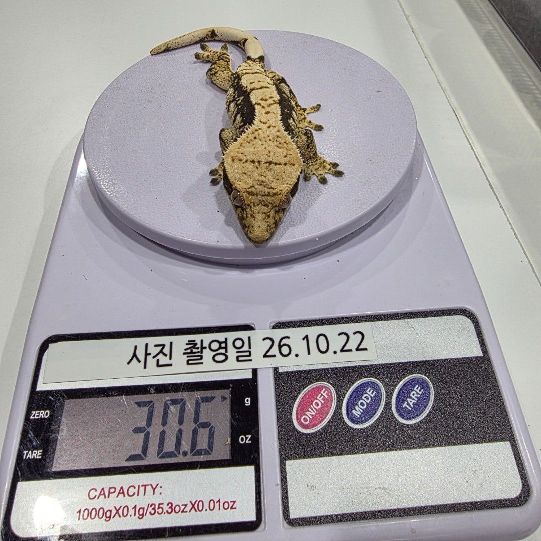 KakaoTalk_20261023_011351829_12.jpg