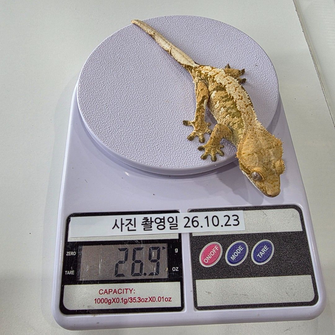 KakaoTalk_20261023_151313899_17.jpg