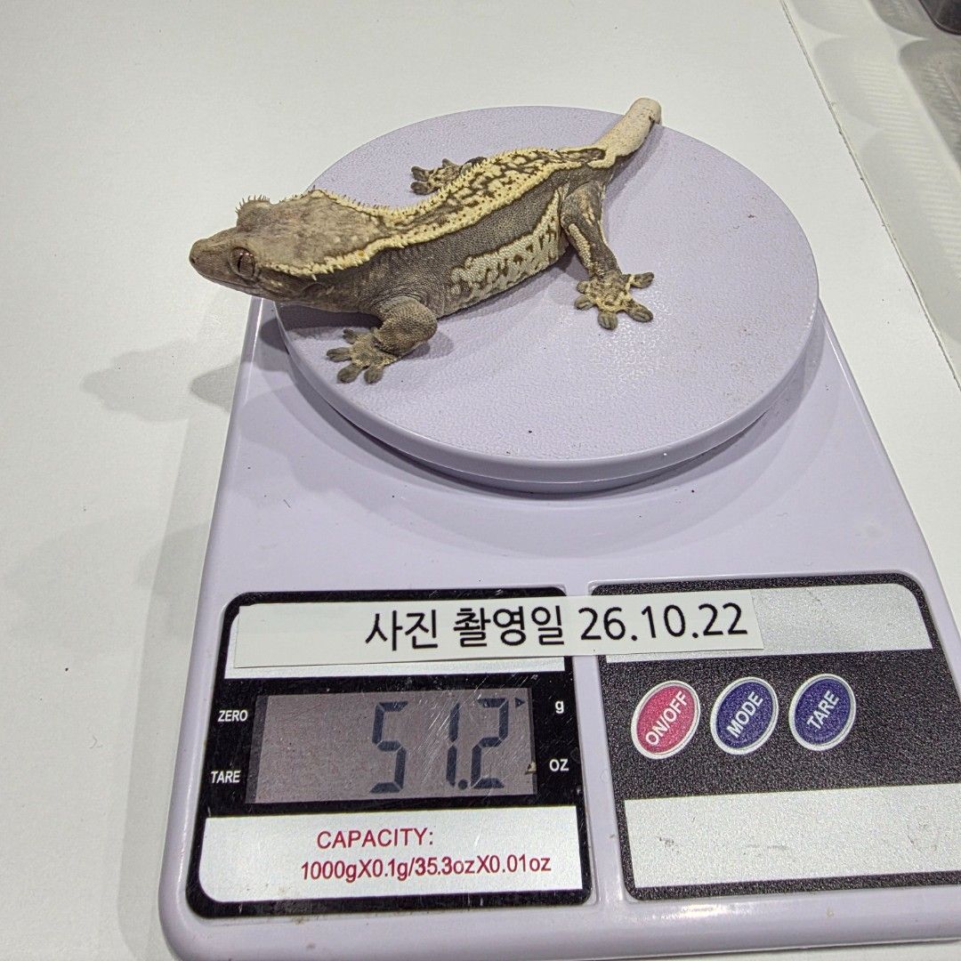 KakaoTalk_20261023_013754109_10.jpg