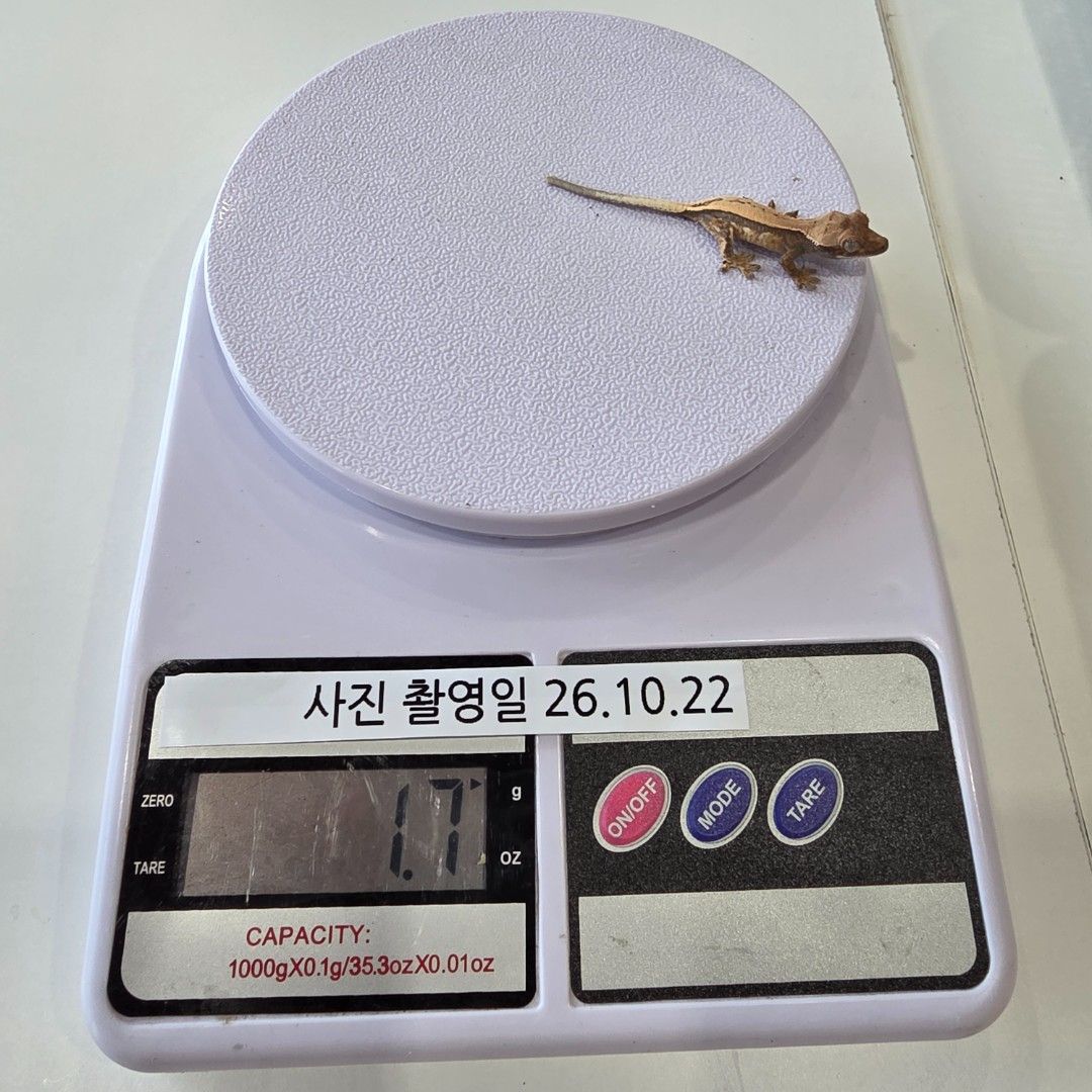 KakaoTalk_20261022_144105035_25.jpg