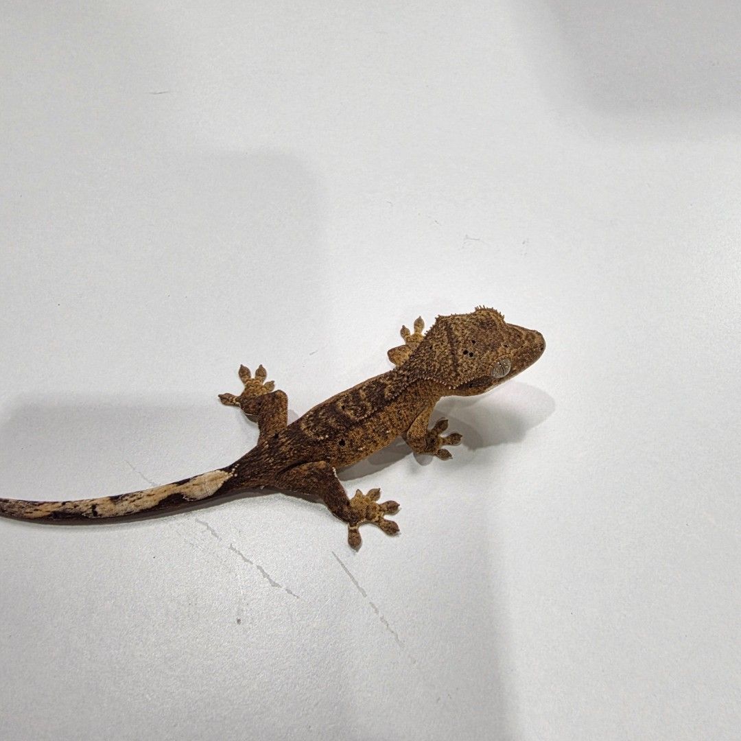 KakaoTalk_20261022_185535074_14 - 복사본.jpg