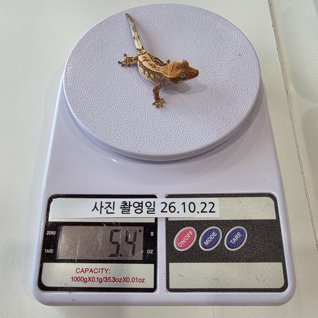 KakaoTalk_20261022_144105035_16.jpg