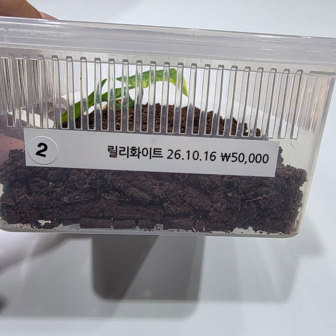 KakaoTalk_20261022_204119613_10.jpg
