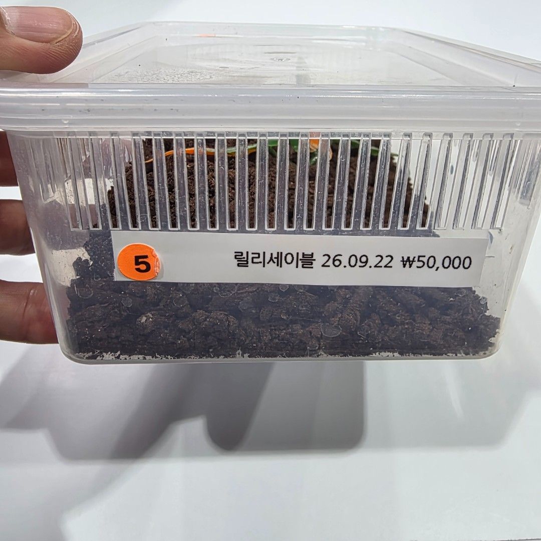KakaoTalk_20261022_173647609_25.jpg