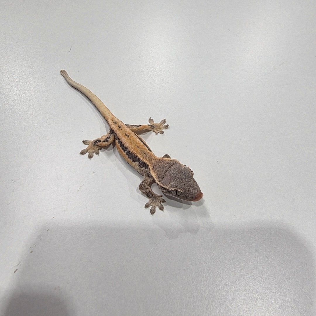 KakaoTalk_20261022_173702076.jpg