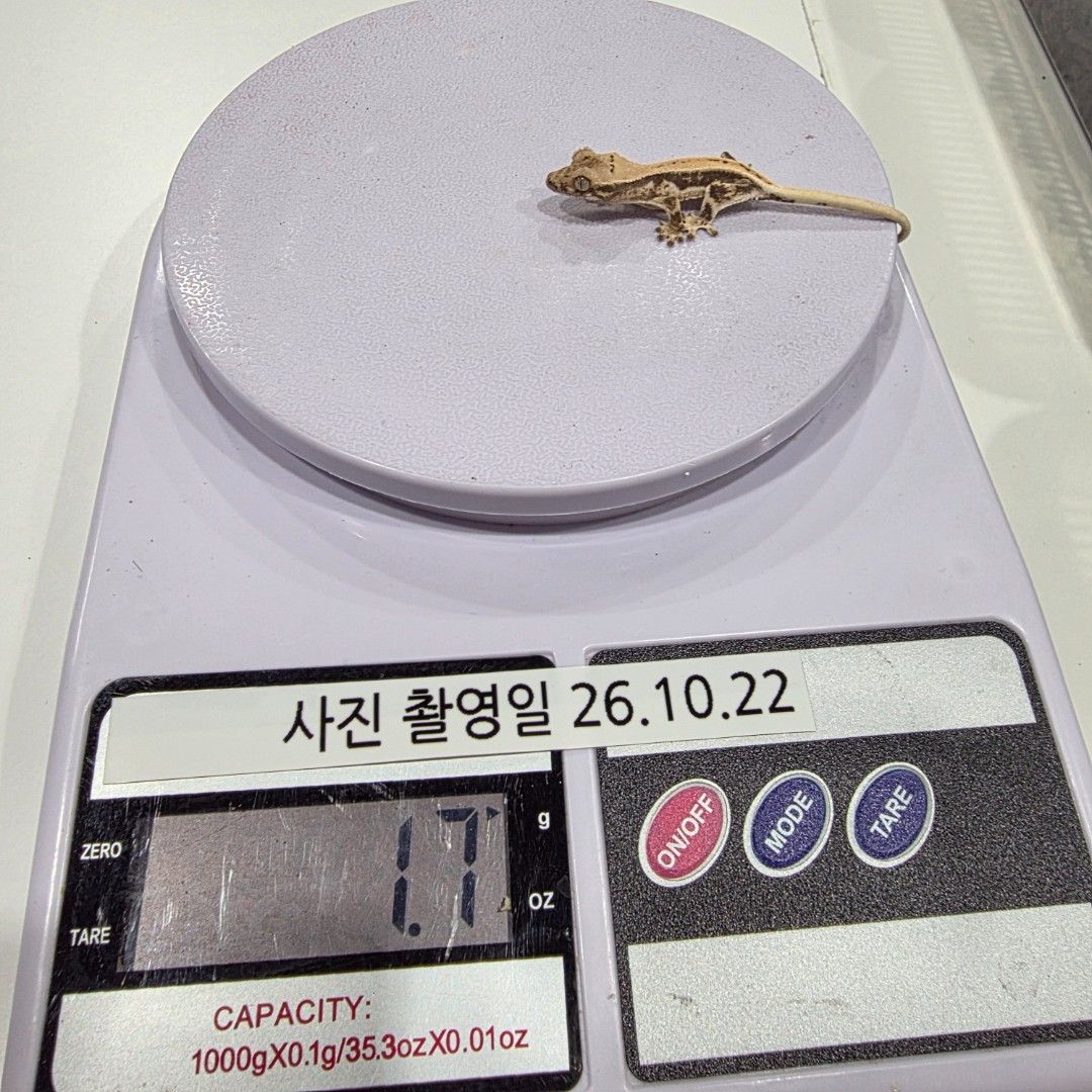 KakaoTalk_20261022_204056095_29.jpg