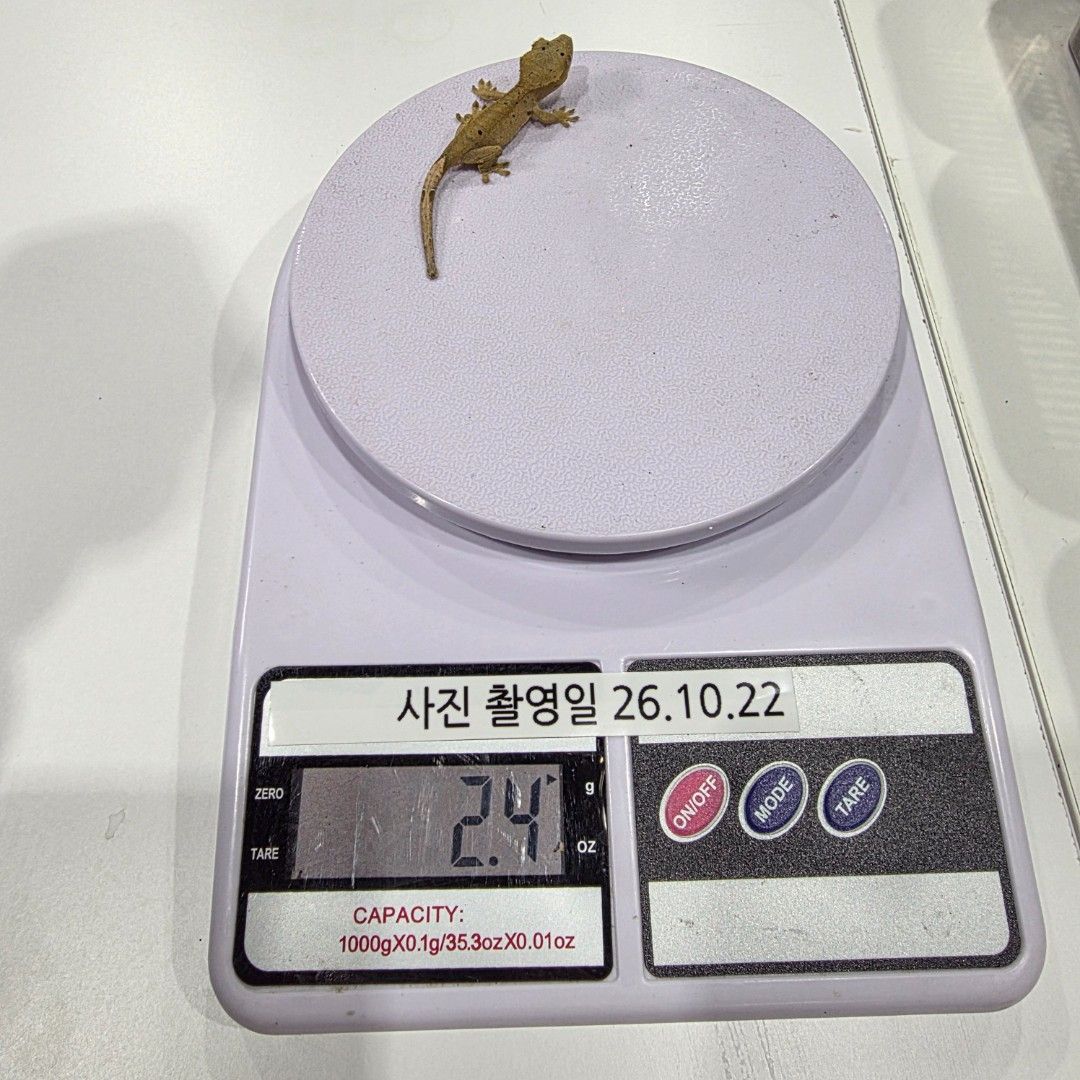 KakaoTalk_20261022_185521199_01.jpg