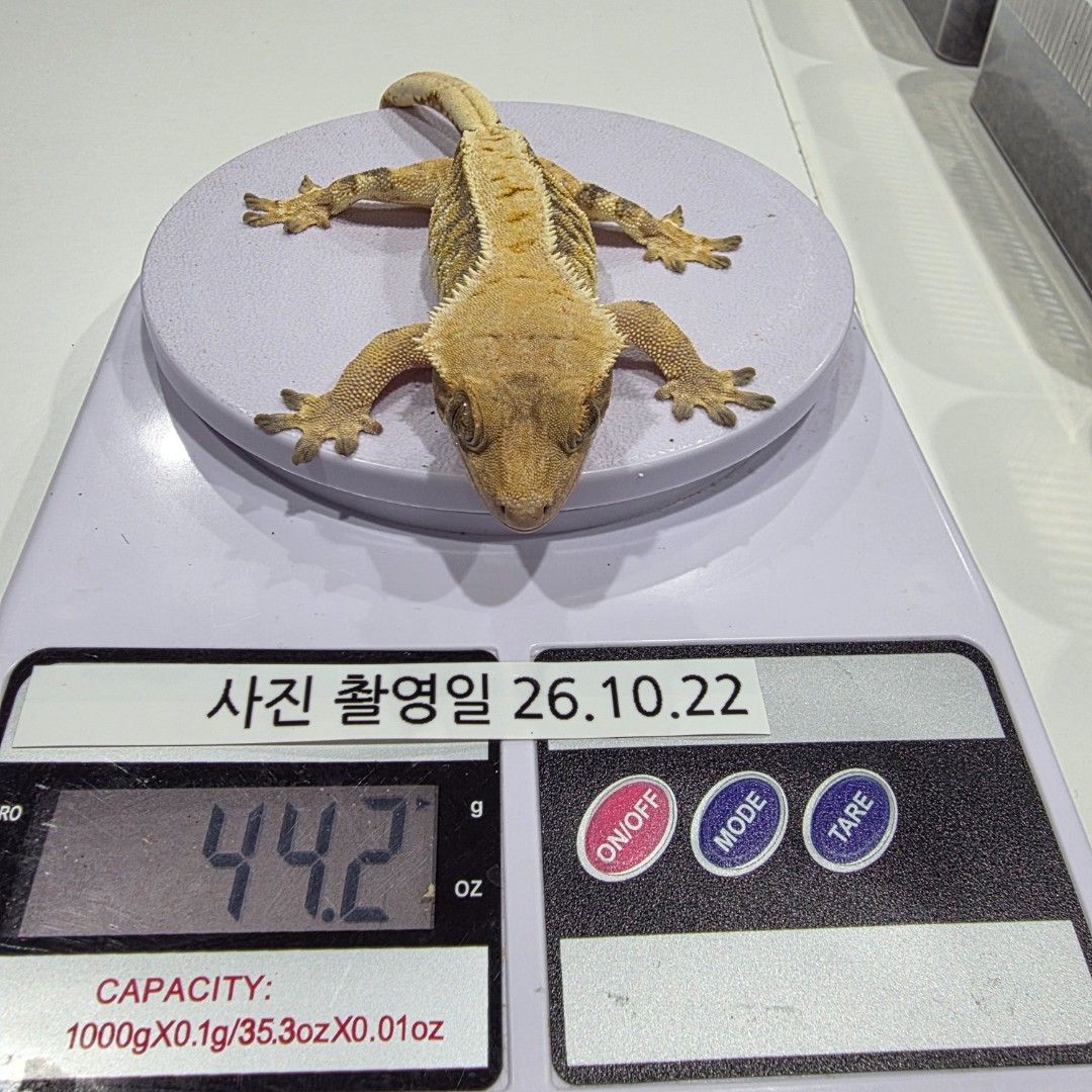KakaoTalk_20261023_001037641_07.jpg