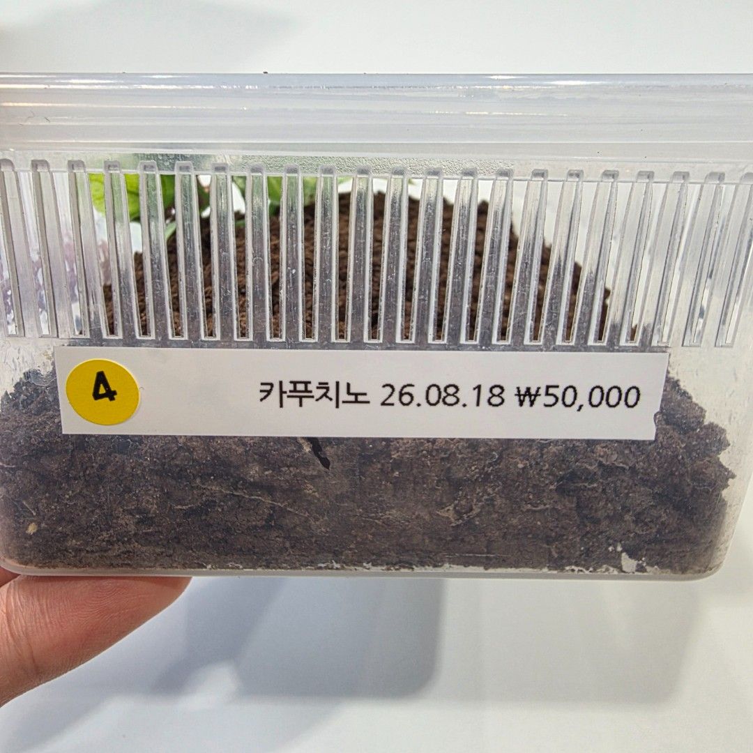 KakaoTalk_20261022_161926572_09.jpg