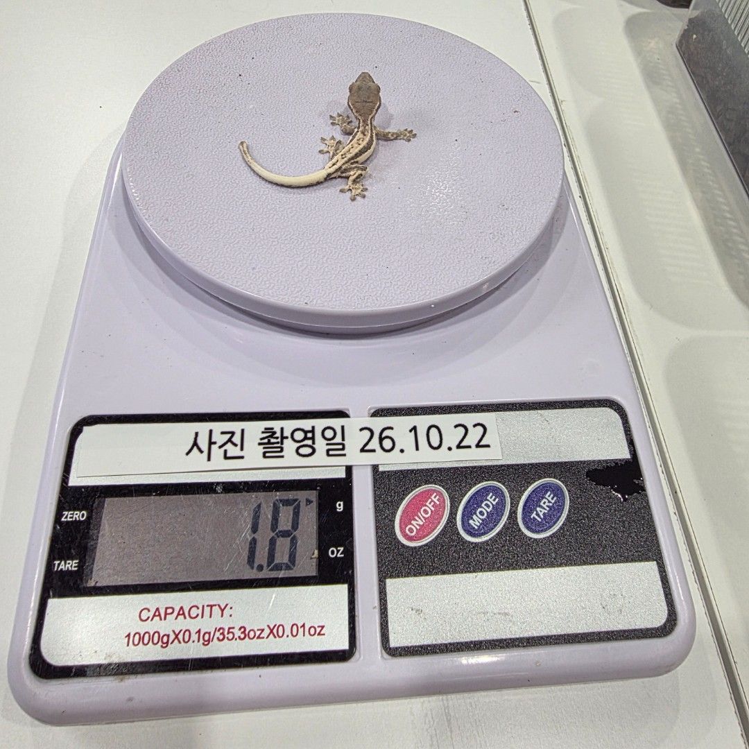 KakaoTalk_20261022_173647609_16.jpg
