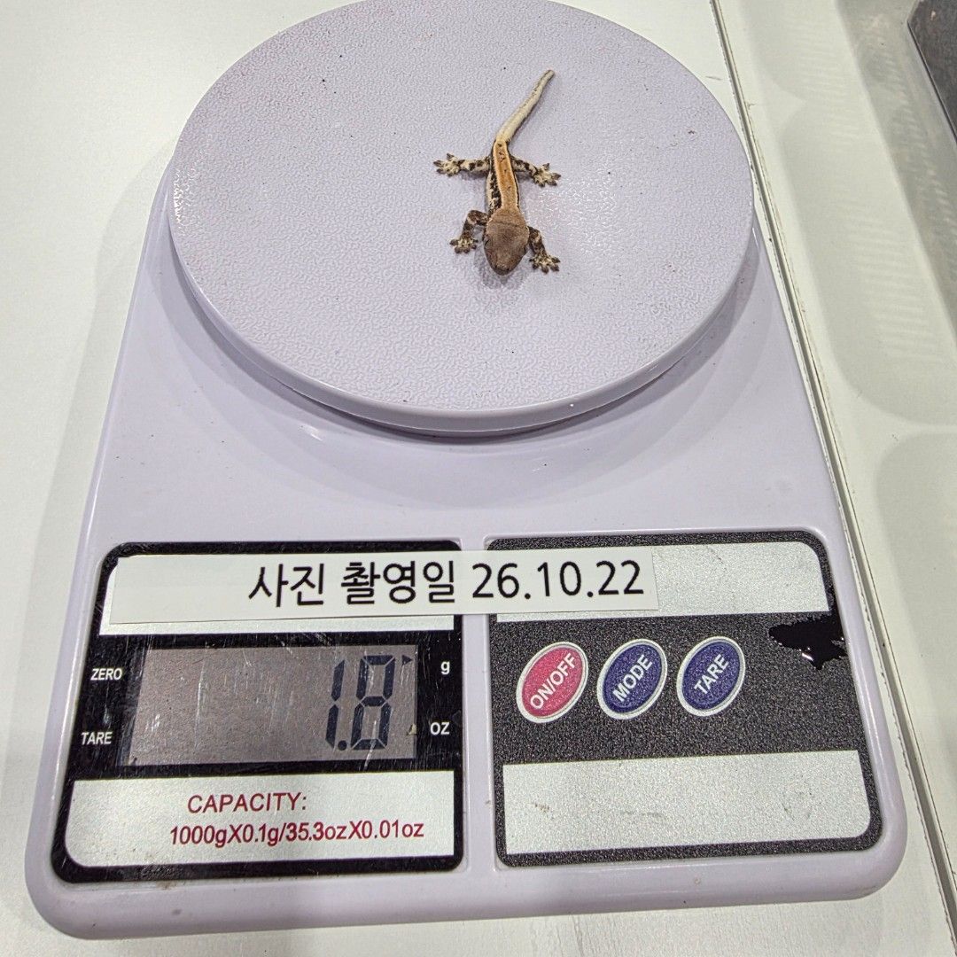 KakaoTalk_20261022_173647609_06.jpg