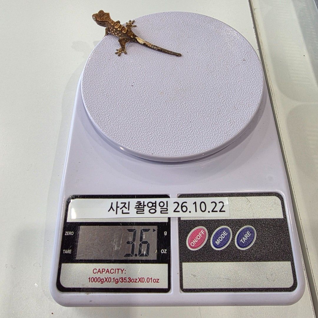 KakaoTalk_20261022_161931690_07.jpg