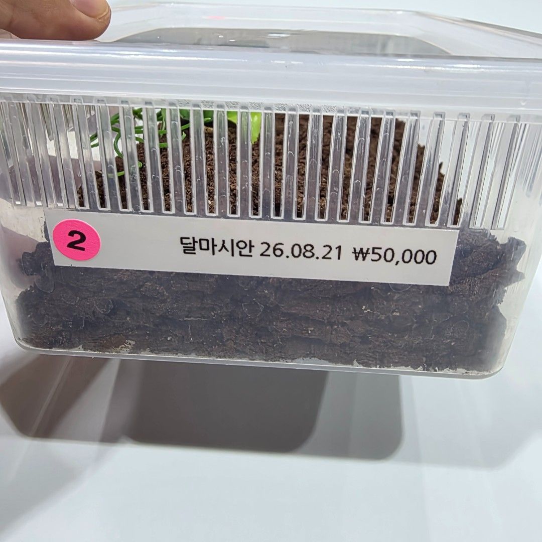 KakaoTalk_20261022_185521199_09.jpg