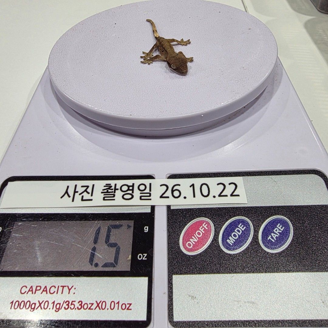 KakaoTalk_20261022_185535074_18.jpg