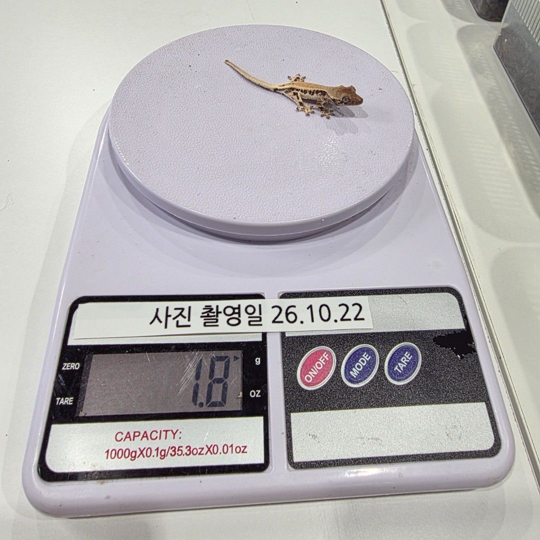 KakaoTalk_20261022_173647609_24.jpg