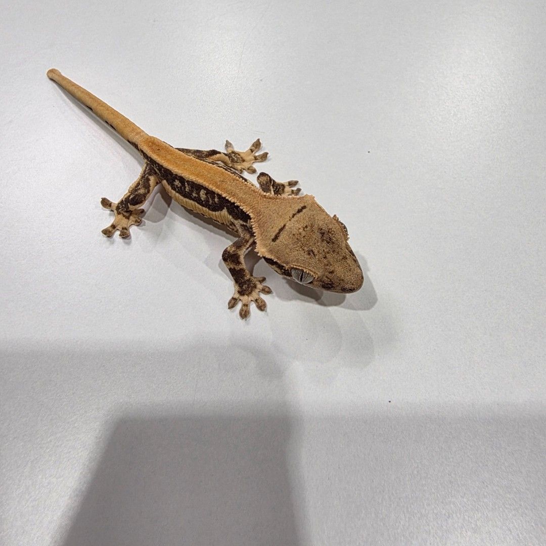 KakaoTalk_20261022_204109936_17.jpg