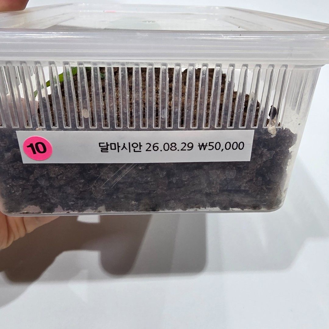 KakaoTalk_20261022_185547038_23.jpg