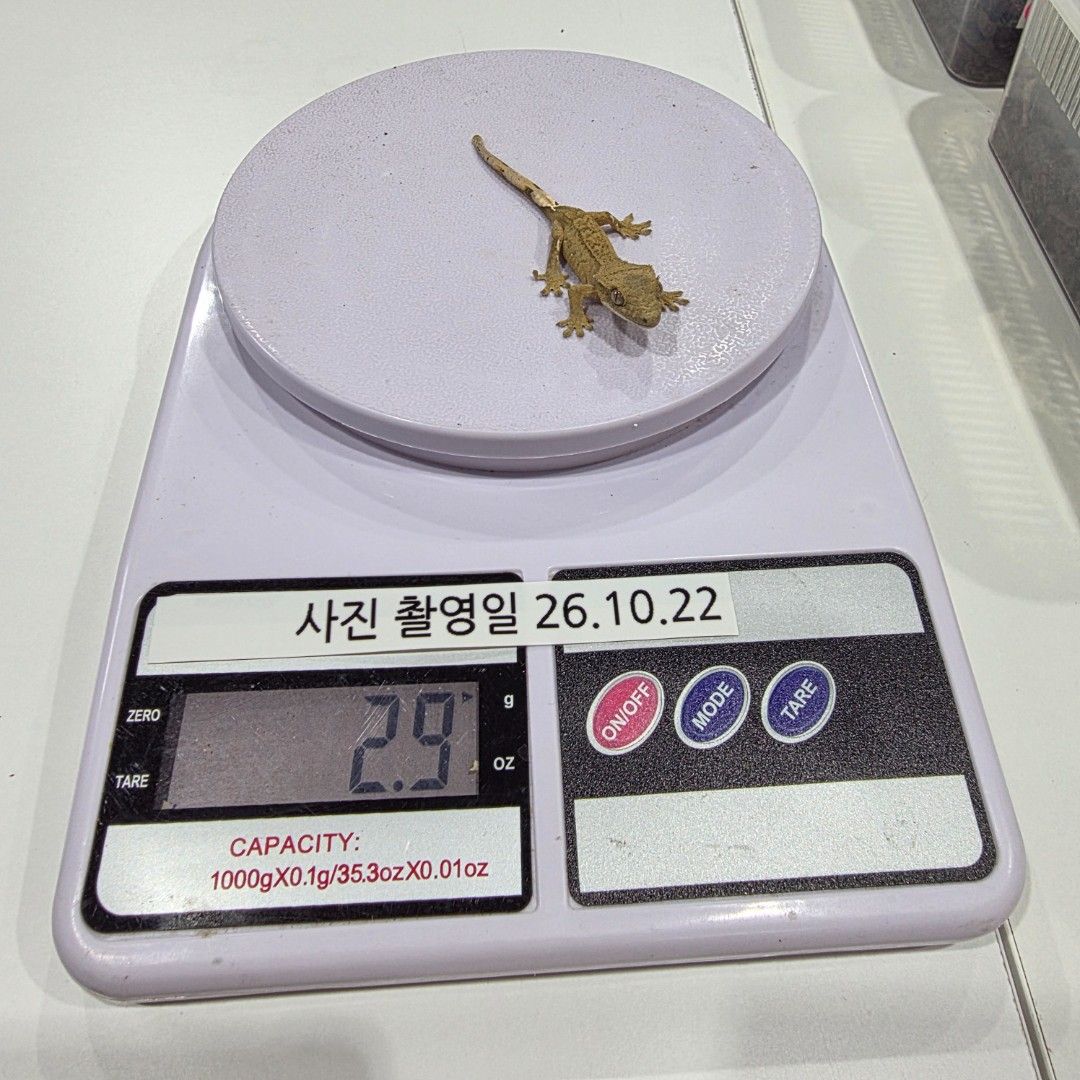 KakaoTalk_20261022_185535074_26.jpg