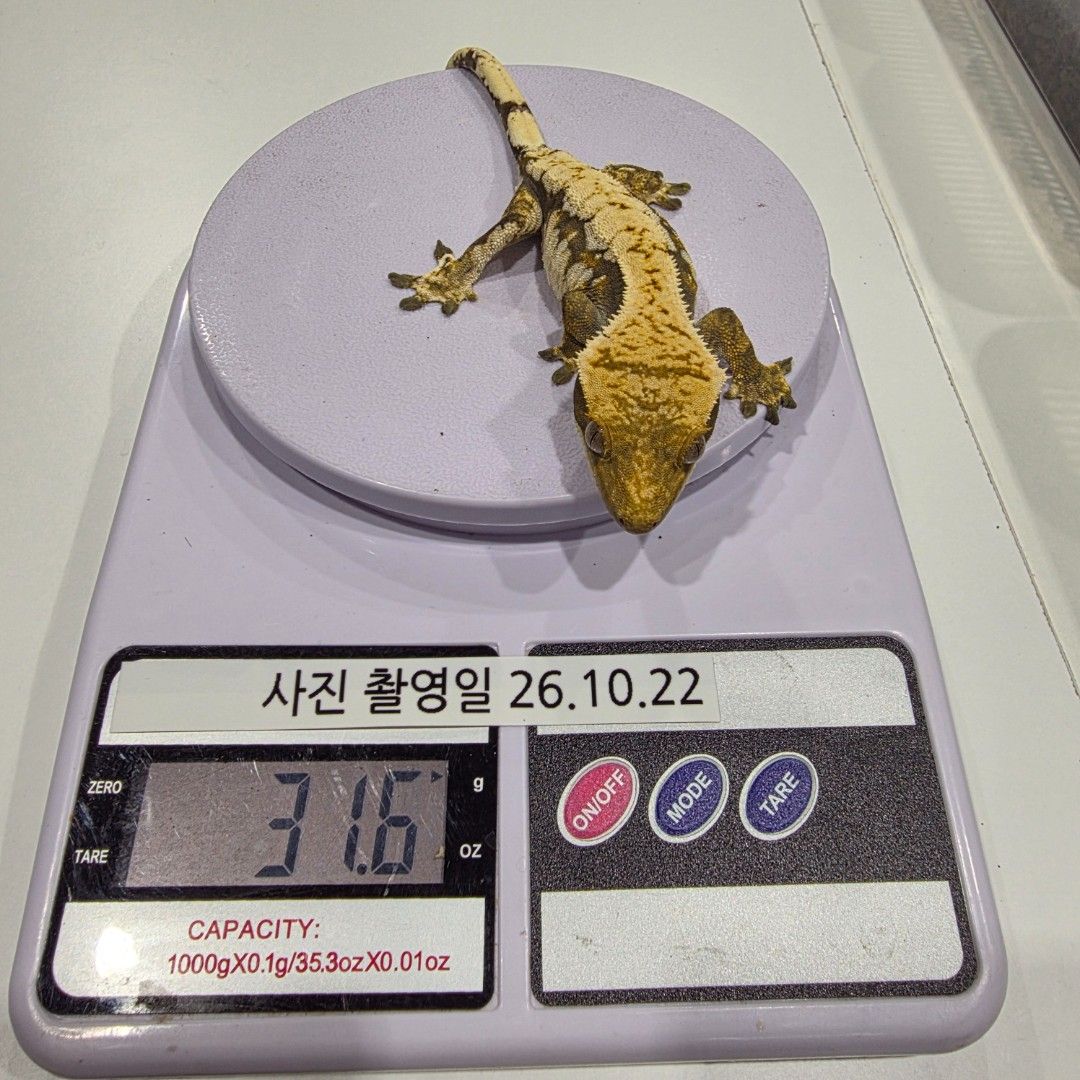 KakaoTalk_20261023_004307555_14.jpg