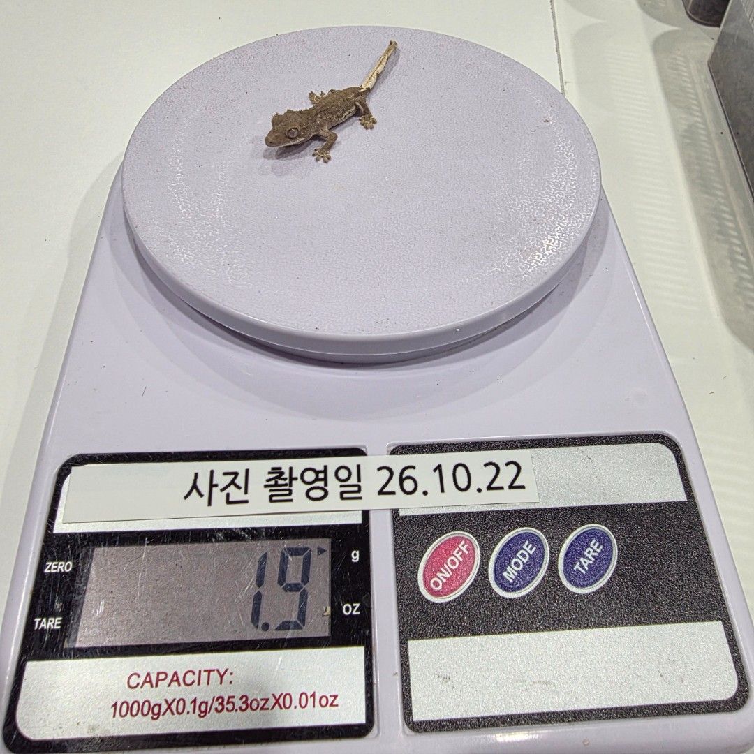 KakaoTalk_20261022_215617691_28.jpg