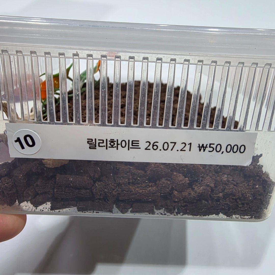 KakaoTalk_20261022_215617691_09.jpg