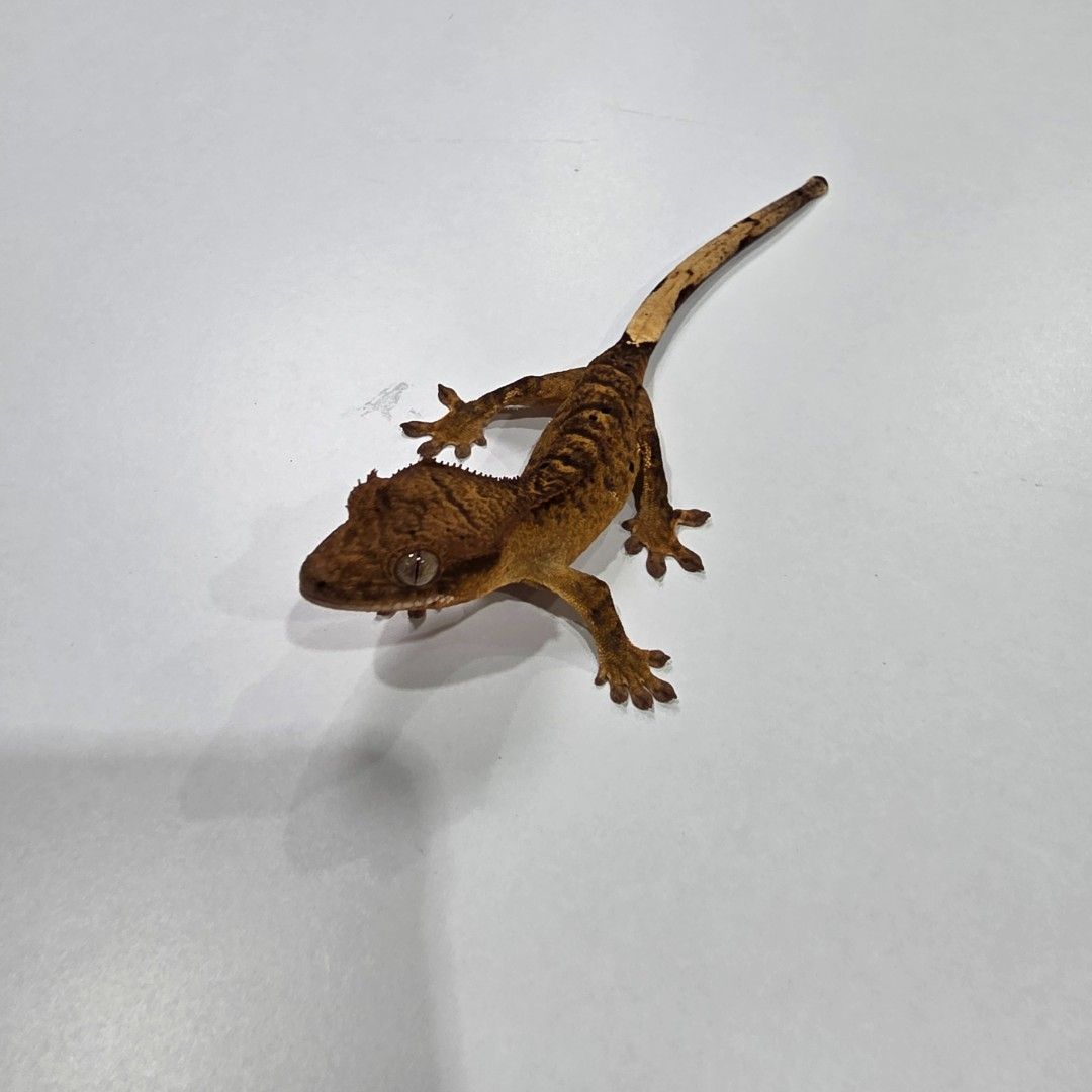 KakaoTalk_20261022_185553798_01.jpg
