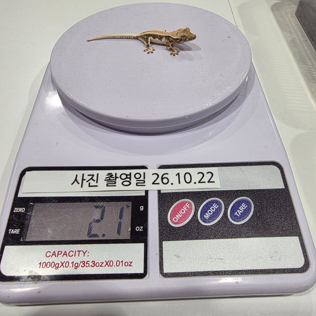 KakaoTalk_20261022_215632035_23.jpg