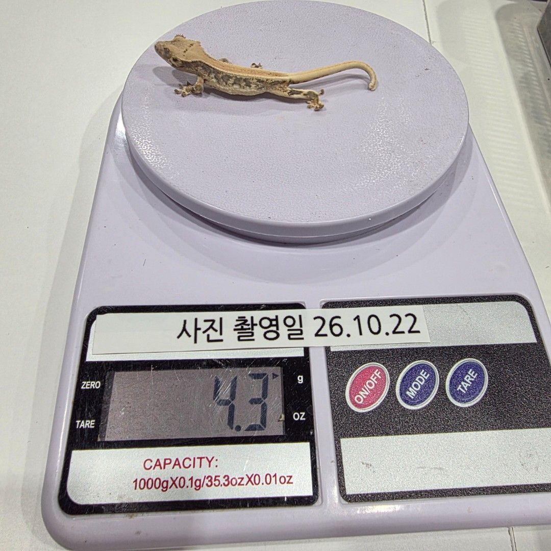 KakaoTalk_20261022_215632035_07.jpg