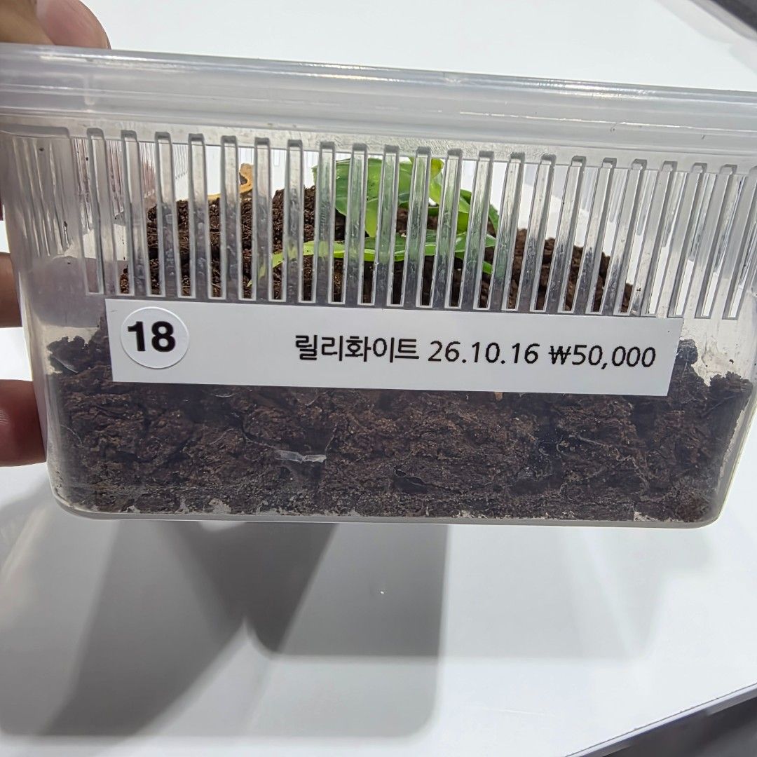KakaoTalk_20261022_232851602_19.jpg