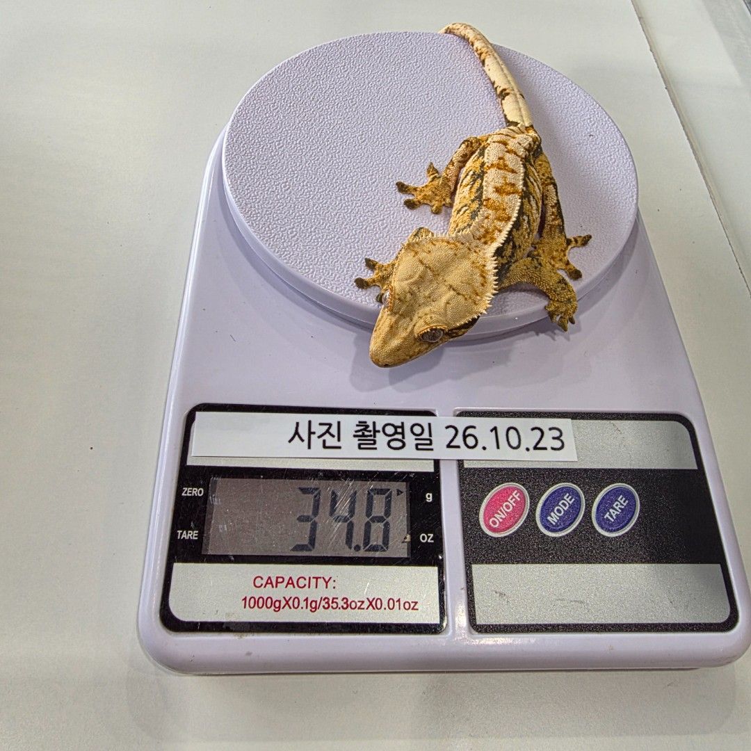 KakaoTalk_20261023_151313899_26.jpg