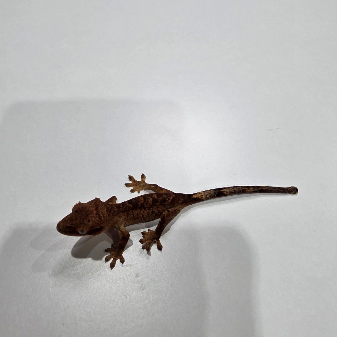 KakaoTalk_20261022_185553798_07.jpg