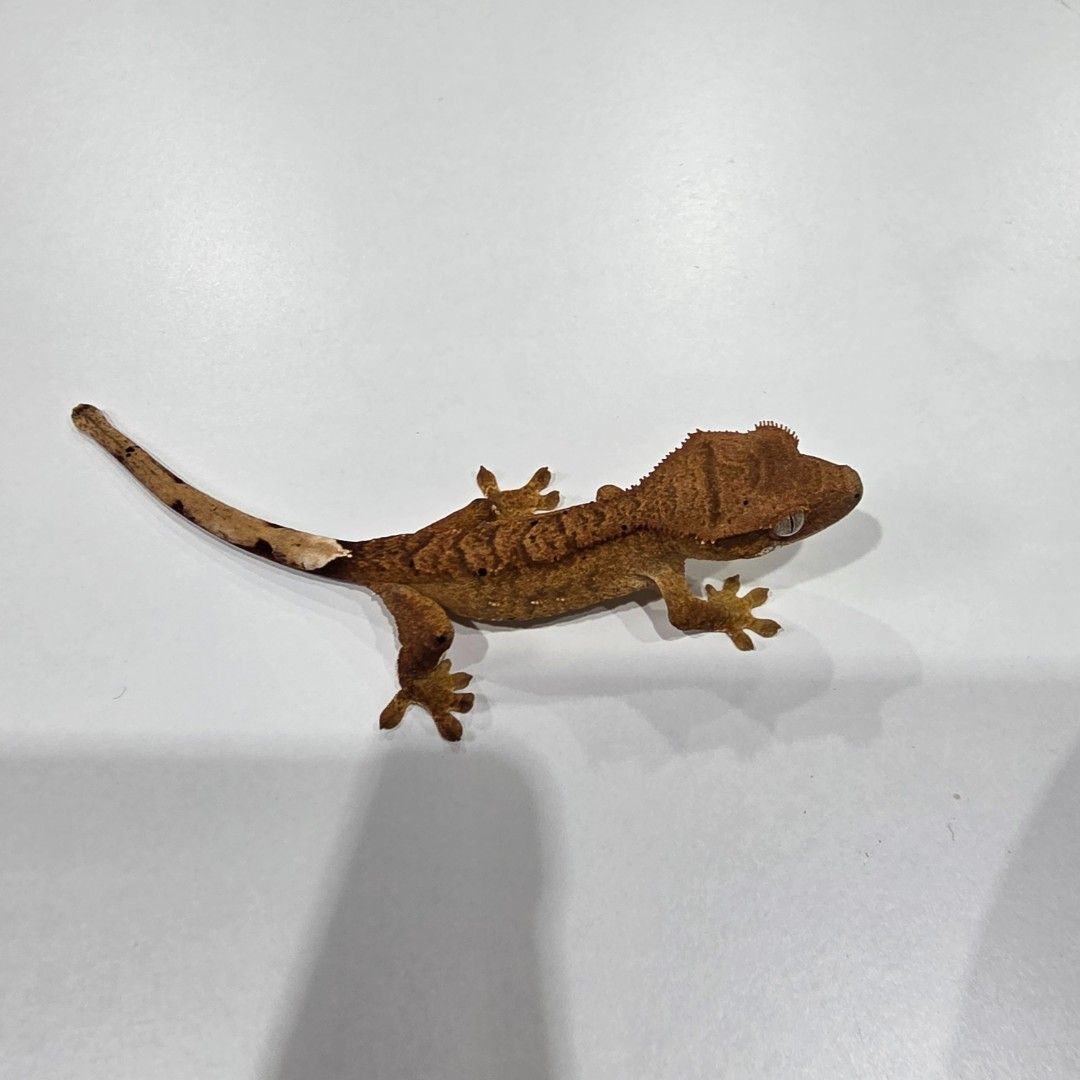 KakaoTalk_20261022_185553798_15.jpg