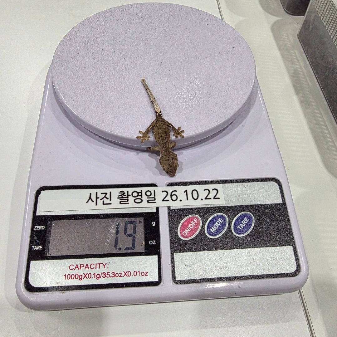 KakaoTalk_20261022_185521199_27.jpg
