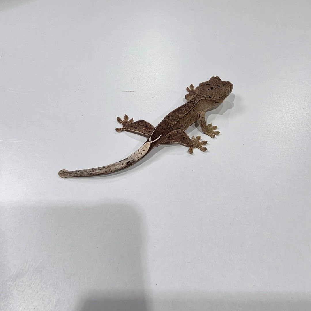 KakaoTalk_20261022_185535074_02.jpg