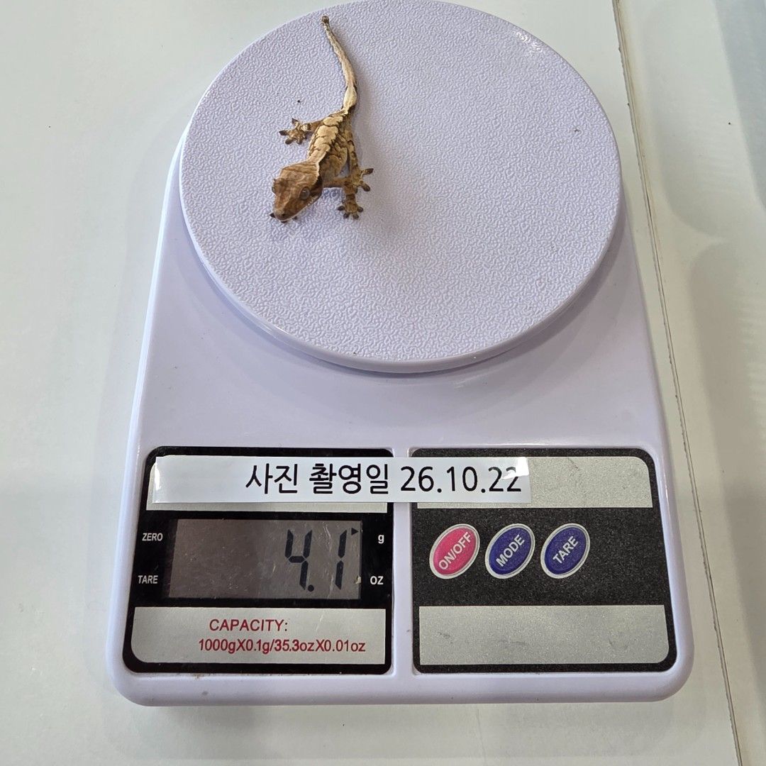 KakaoTalk_20261022_144118056_16.jpg