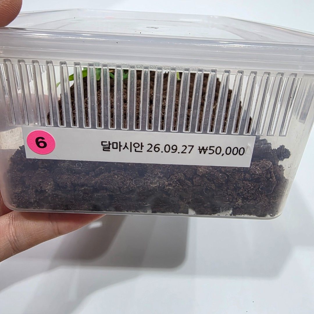 KakaoTalk_20261022_185535074_17.jpg