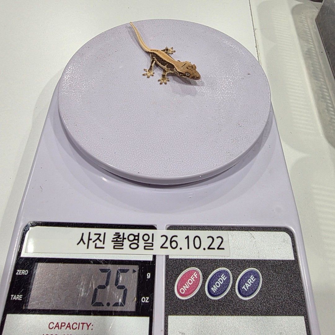 KakaoTalk_20261022_204056095_10.jpg