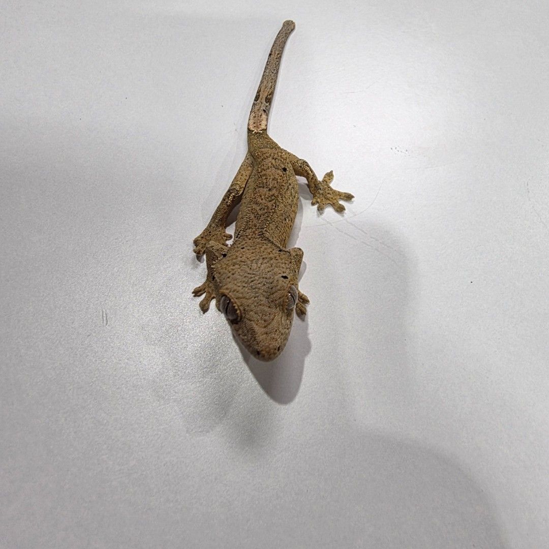 KakaoTalk_20261022_185521199_25.jpg