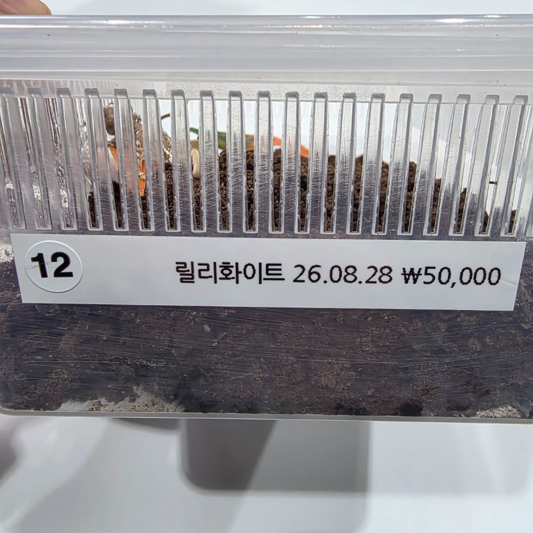 KakaoTalk_20261022_215617691_27.jpg