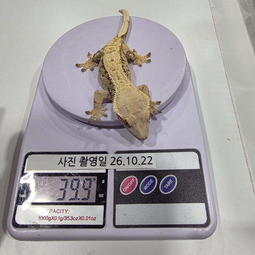 KakaoTalk_20261023_012411112_05.jpg