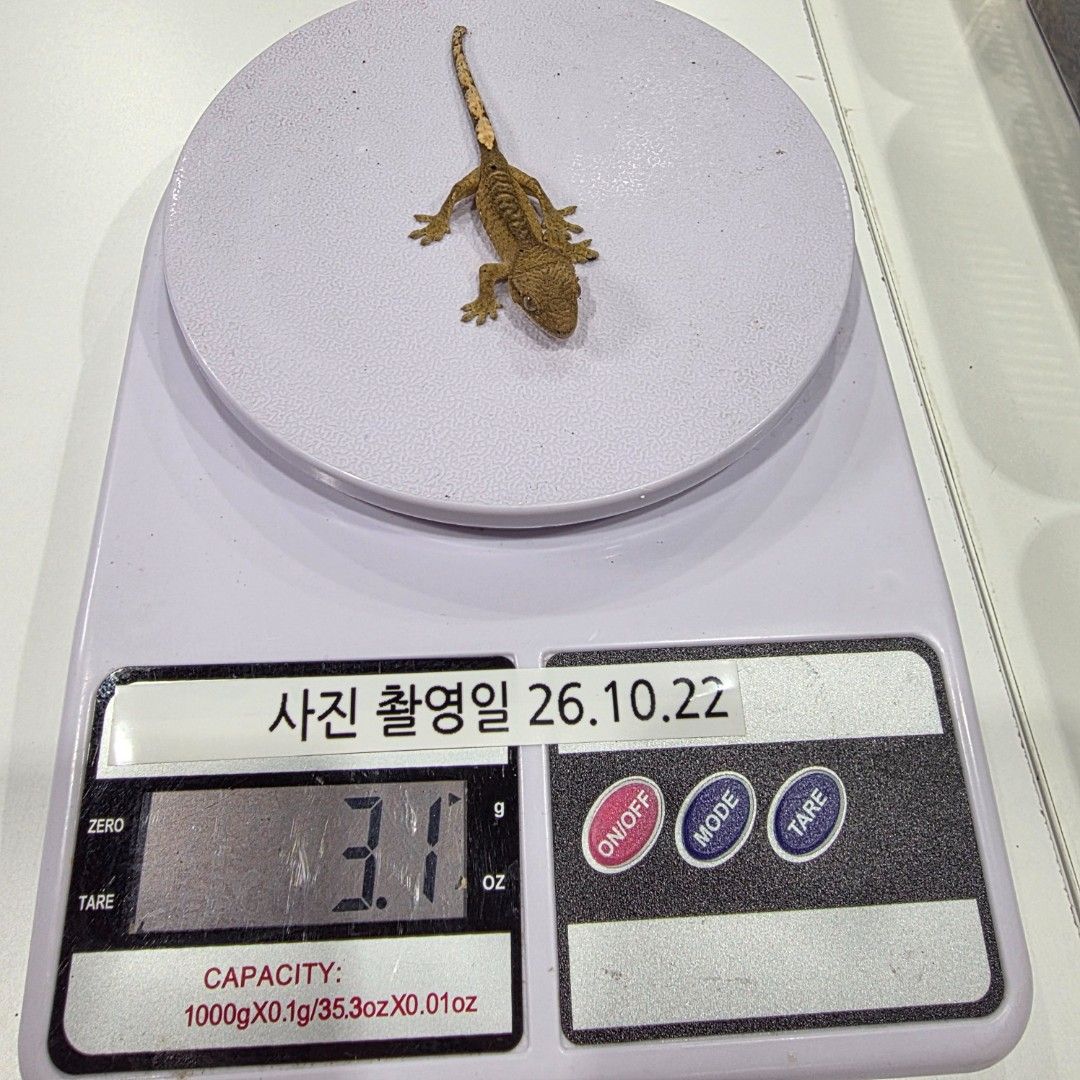 KakaoTalk_20261022_185521199_10.jpg