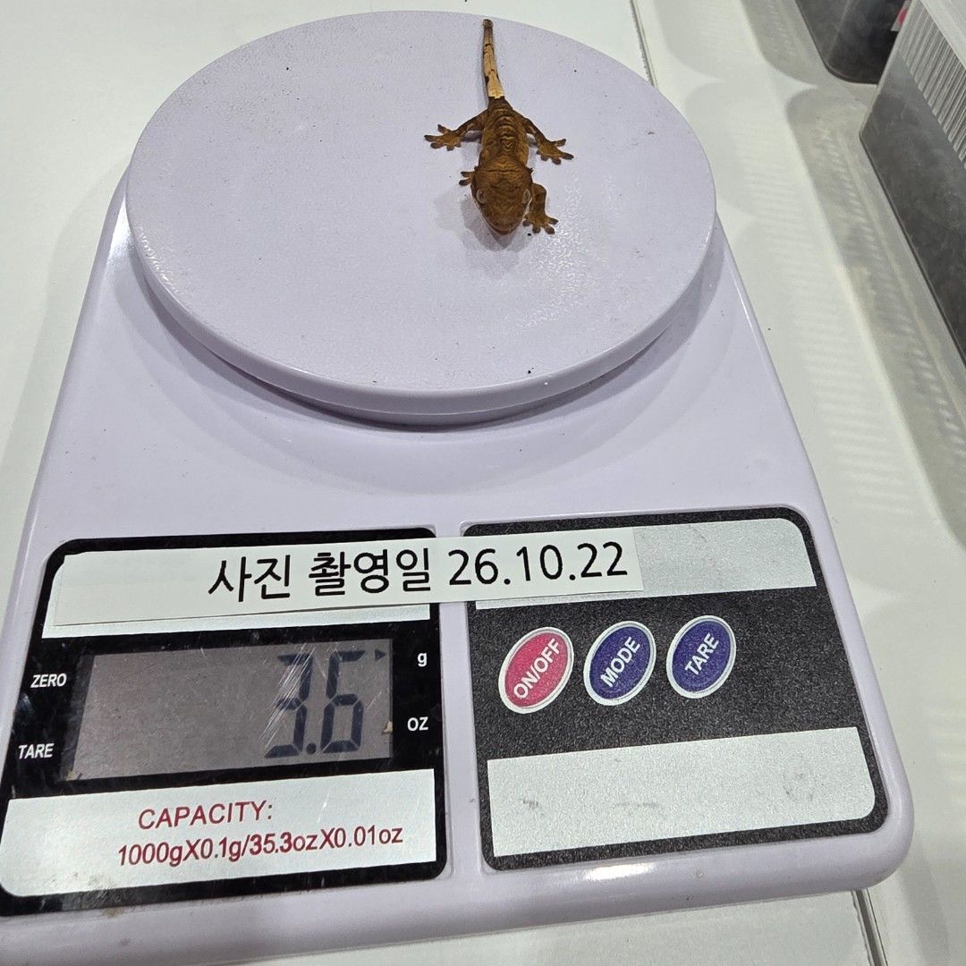 KakaoTalk_20261022_185547038_24.jpg